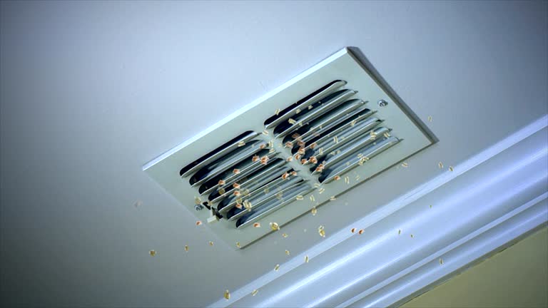 Best Affordable HVAC Duct Cleaning  in Caoncito, NM